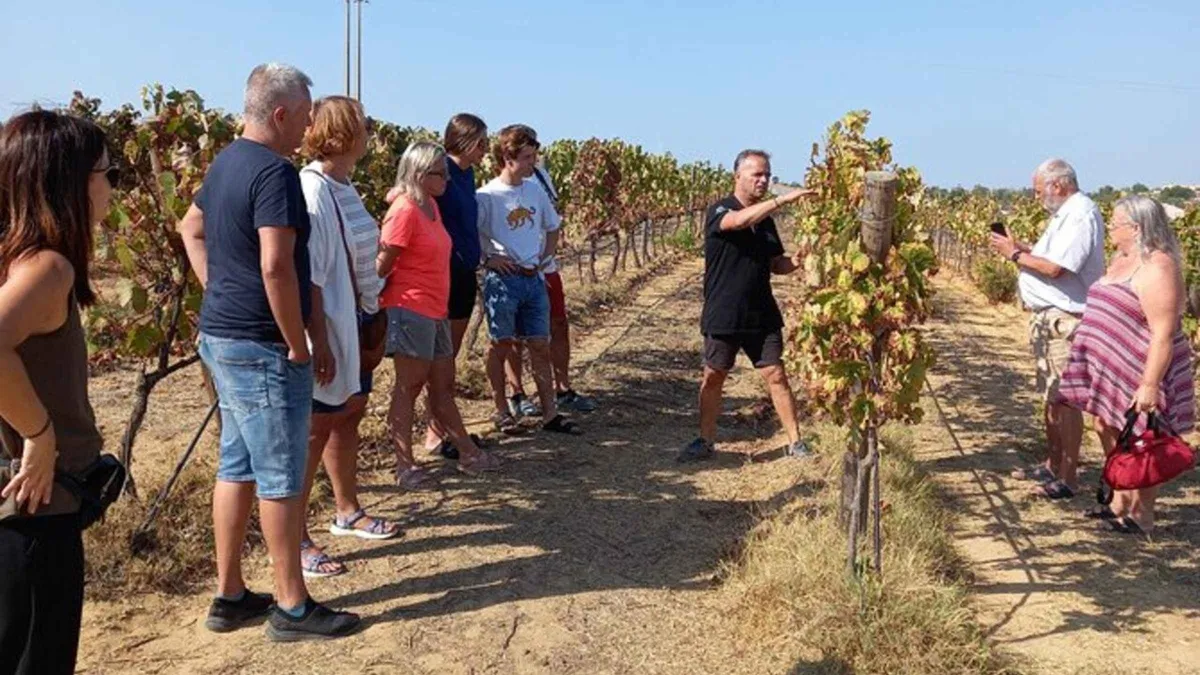 Glasses of Algarve wine and cold tapas on a terrace overlooking the vines at a winery near Albufeira, one of the slower-paced things to do in Albufeira, Algarve